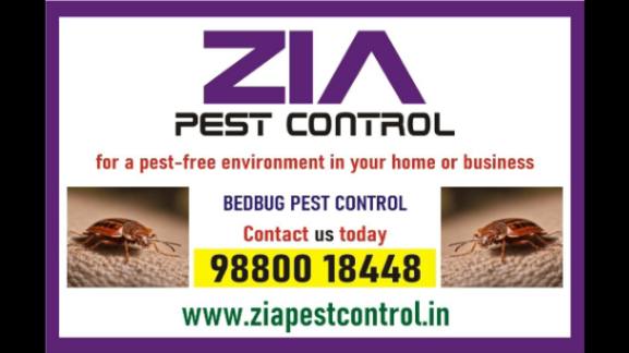 Zia Pest Control | Bed Bugs Control | Off Upto 50% Residence | Call Now | 297