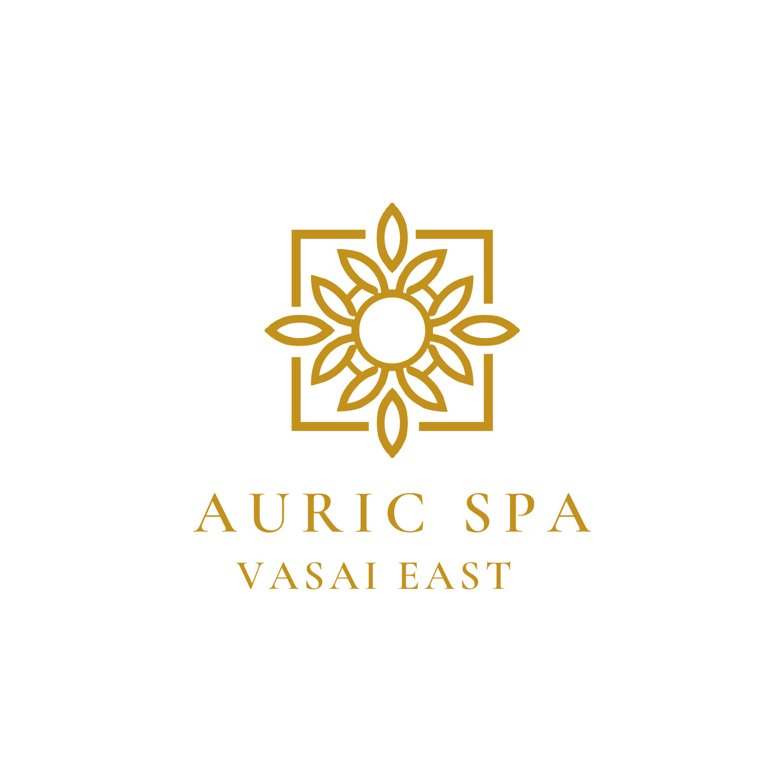 Professional Spa at Auric Spa In Vasai 9152331152