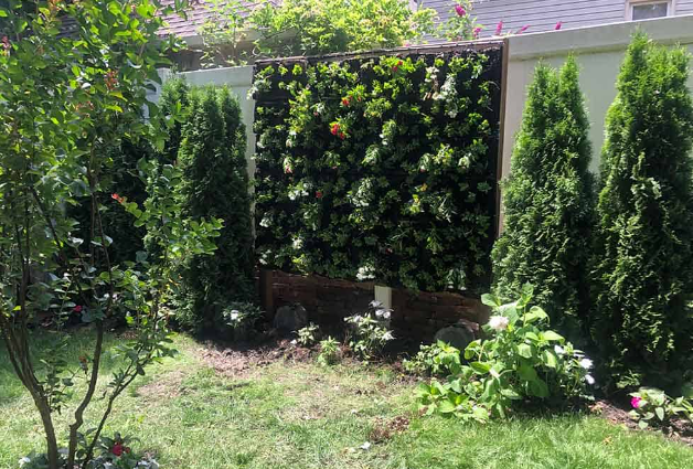 Vertical garden services nyc